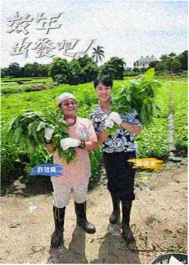 观看渠道核验方法说明配图